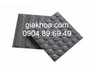 Gạch dẫn hướng
